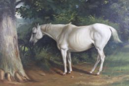 A 19th century English Equine School, oil on canvas, grey brood mare under a tree in a field,