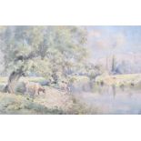 M G Webb, watercolour, cows drinking at a river, signed lower left. 33cm x 50.5cm.
