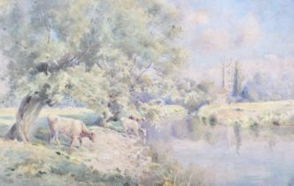 M G Webb, watercolour, cows drinking at a river, signed lower left. 33cm x 50.5cm.