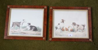 A pair of full coloured reprints depicting spaniels and working dogs in yew wood frames, 45cm H,