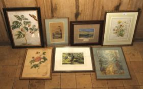 Assorted watercolours, hand coloured prints etc depicting various natural history scenes,