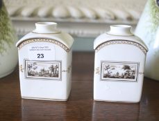 Richard Ginori, Florence : A pair of bat printed (like) and hand printed tea caddies.