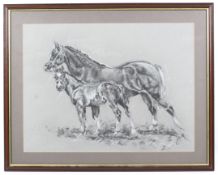 A charcoal and chalk on paper drawing titled 'Rebecca and Foal'.