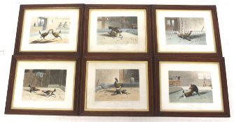 N Fielding, a set of six 'cock fighting' prints. Published 1853 by R. Ackermann. Framed and glazed.