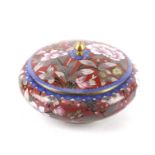 A 20th century Chinese cloisonne lidded pot.