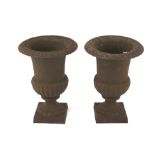 A pair of cast iron urns mounted on square bases. H24.