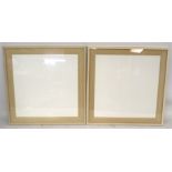 A pair of large glazed picture frames.