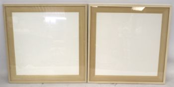 A pair of large glazed picture frames.