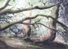 Costas Mikellides (1938-2019 ) MSIA, FCSD, Watercolour,' Rainbow woods, Bath',