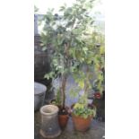 A collection of three assorted garden pots and a chimney pot. Max.