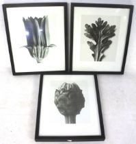 A set of three monochrome prints.