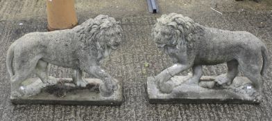 A pair of stone garden lions on plinths.