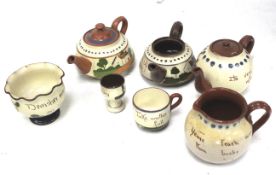 A collection of Devon motto ware. Including teapots, eggcup, etc. Max.