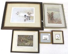 Five prints and paintings featuring birds. Including two Peter Squire watercolours of puffins, 8.
