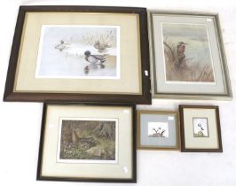 Five prints and paintings featuring birds. Including two Peter Squire watercolours of puffins, 8.