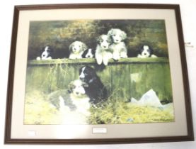 A David Shepherd print 'Muffins Pups'. Framed and glazed.