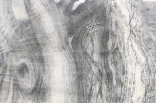 Costas Mikellides (1938-2019 )msia, fcsd, Pencil, ' Australian Tree', from artist's studio, 35.