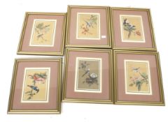 A set of six Chinese paintings of birds on silk. Framed and glazed.