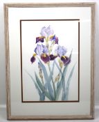 Jenny Clark, watercolour of irises, 43cm x 30cm. Framed and glazed.