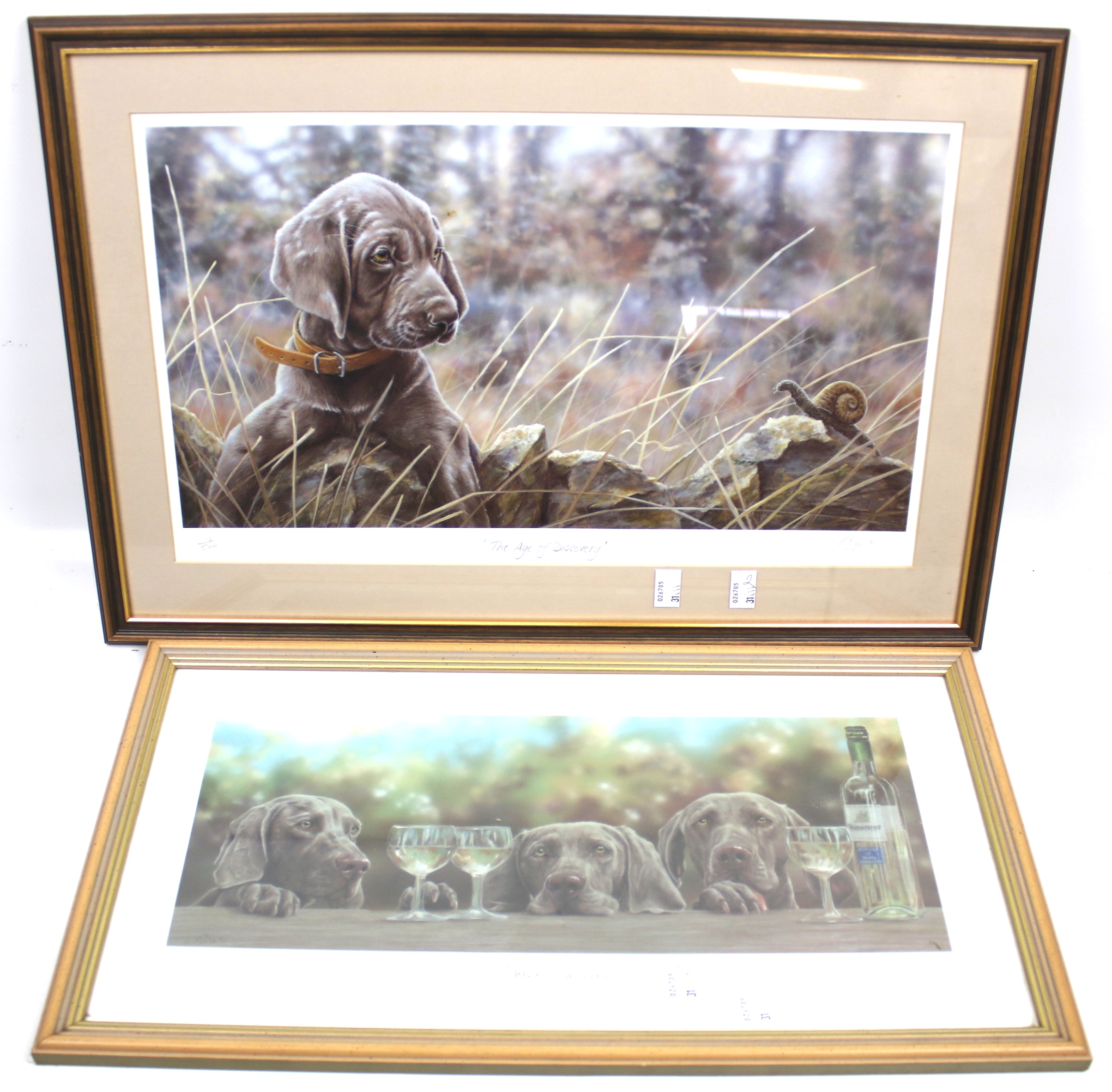 Two Paul Doyle limited edition signed prints of dogs. 'The Age of Discovery', no.102/500, 27.