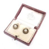 A pair of early 20th century gold and imitation-pearl shell-shaped earrings.