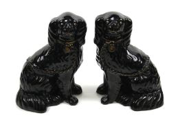 A pair of Staffordshire Spaniel dogs. Glazed in black with gilt details, H23.