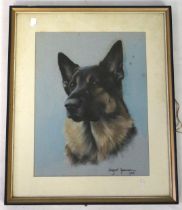 Margaret Anderson, British 20th century, pastel, portrait of an Alsatian dog, dated 1975.