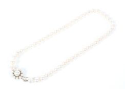 A vintage cultured-pearl single row necklace. The 50 cultured-pearls approx. 8.2-8.