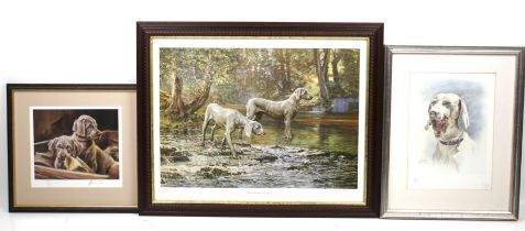 Three signed limited edition prints of Weimaraner dogs.