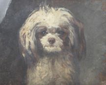 A 19th century canine school oil on canvas of a lovable mongrel (dog).