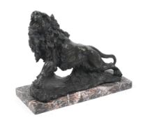 A large bronze lion, numbered 79532099 to back. Circa L50cm. On a marble base. Weighs 32k.