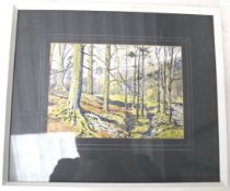 Henry Bracken watercolour painting of a woodland scene. Framed and glazed.