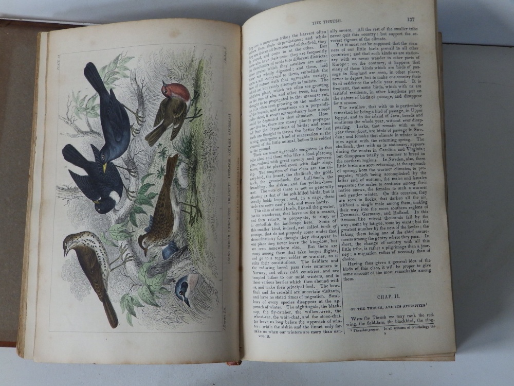 Oliver Goldsmith - 'A History of the Earth and Animated Nature', col. Illus., 2 vols - covers a/f. - Image 4 of 10