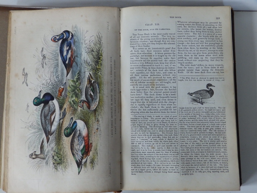 Oliver Goldsmith - 'A History of the Earth and Animated Nature', col. Illus., 2 vols - covers a/f. - Image 5 of 10