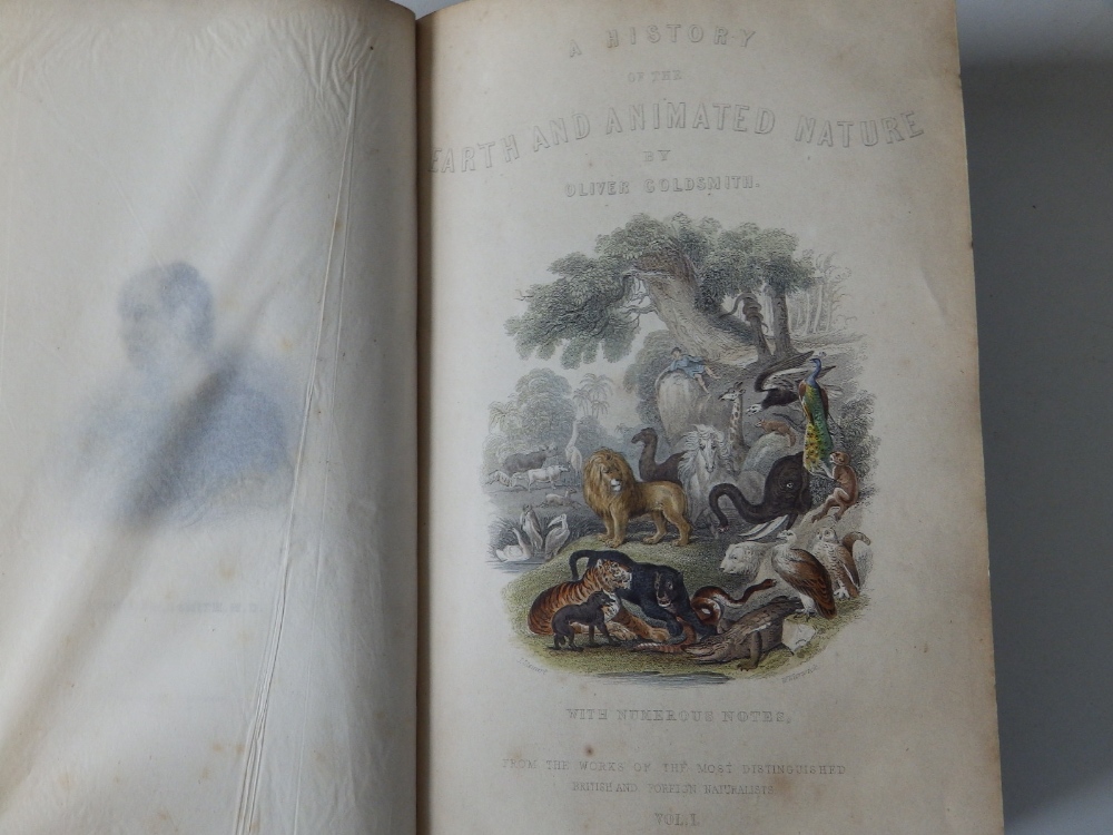Oliver Goldsmith - 'A History of the Earth and Animated Nature', col. Illus., 2 vols - covers a/f. - Image 7 of 10