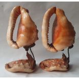 A pair of vintage Italian lamps made from shells, the interiors showing Italian landscapes, 8" high.