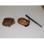 A small taxidermy tortoise specimen, 5.5" across and a tortoise shell. (2)
