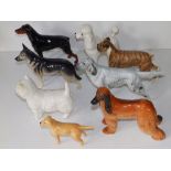 A Beswick alsatian 'Ulrica of Brittas', 5.75" high, an English Setter 'Bayldone Baronet', a boxer '