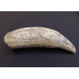 A Victorian Gilbert Islands scrimshaw sperm whale tooth, decorated with 'Sperm Whaling on the