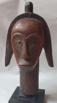 A carved African wood head on stand, the head 13" high.
