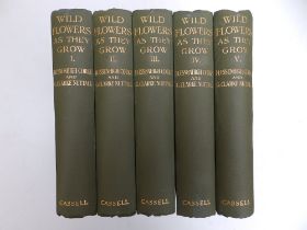 H. Essenhigh Corke & G. Clarke Nuttall - 'Wild Flowers as They Grow', Cassell & Company, 1913 - 5