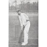 CRICKET - YORKSHIRE D .DENTON ORIGINAL EARLY 1900'S POSTCARD