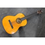 Intermusic acoustic guitar