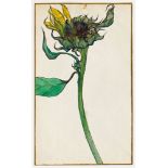 Percy Kelly (1918-1993), "Sunflower", watercolour. 26.5 cm x 16 cm, unframed.