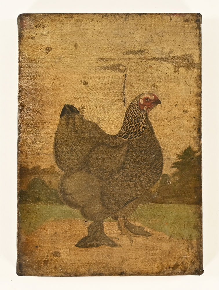 British School late 19th century, a study of a chicken, oil on canvas. - Image 3 of 9