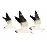 A graduated set of three Beswick flying gulls, 922-1, 2 and 3. Tallest 30 cm.