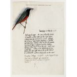 Percy Kelly (1918-1993), "Bird Invention", inscribed 30th March 1978, signed, watercolour. 29.