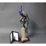 Border Fine Arts peacock "Regal Splendour" Millennium Special limited edition of 500 by Richard