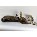 Taxidermy - A mink, together with three stoats, one holding a faux egg.