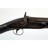 A percussion single barrelled gun, having a 32" barrel, plain lock and hammer,